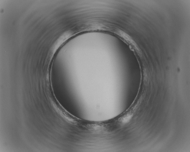 X0000076081234200610061608