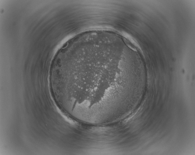 X0000076081237200610061608