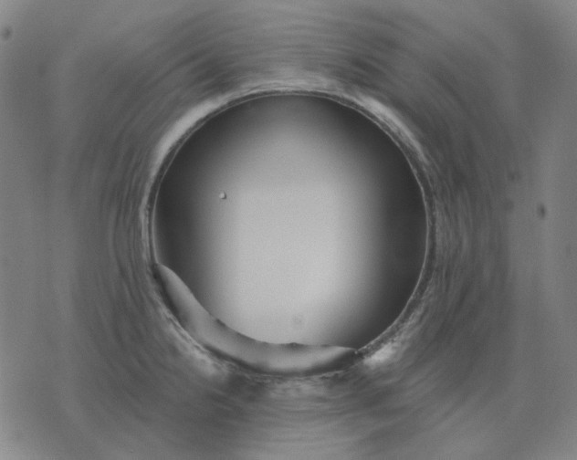 X0000076081238200610061608