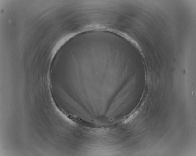 X0000076081239200610061608