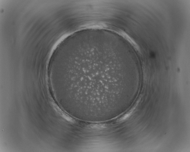 X0000076081240200610061608