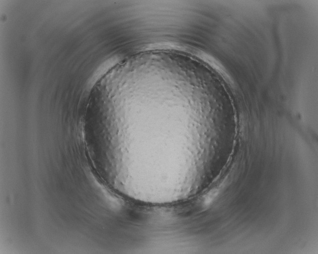 X0000076081241200610061608