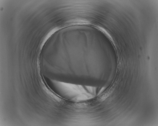 X0000076081243200610061608