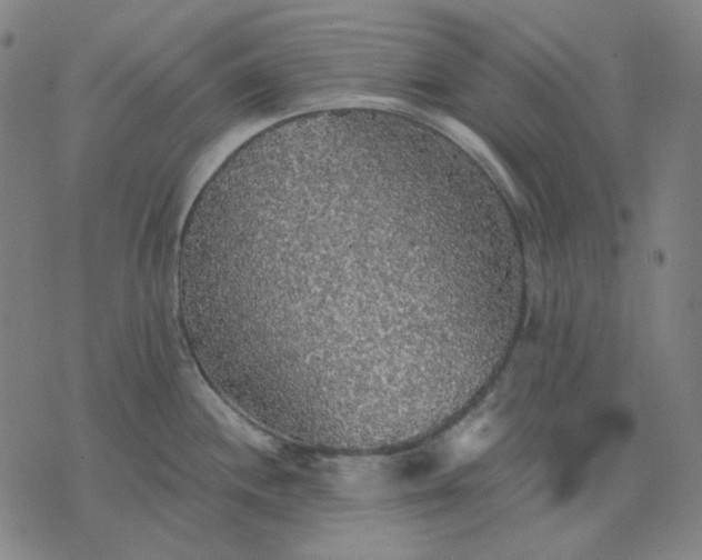 X0000076081244200610061608