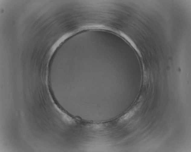 X0000076081245200610061608