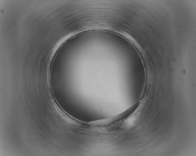 X0000076081246200610061608