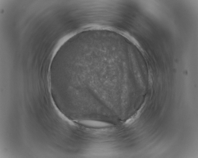 X0000076081247200610061608