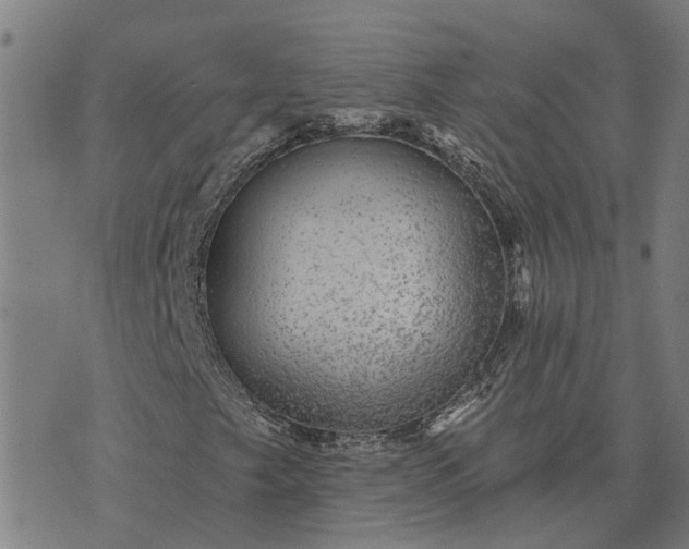 X0000076081249200610061607