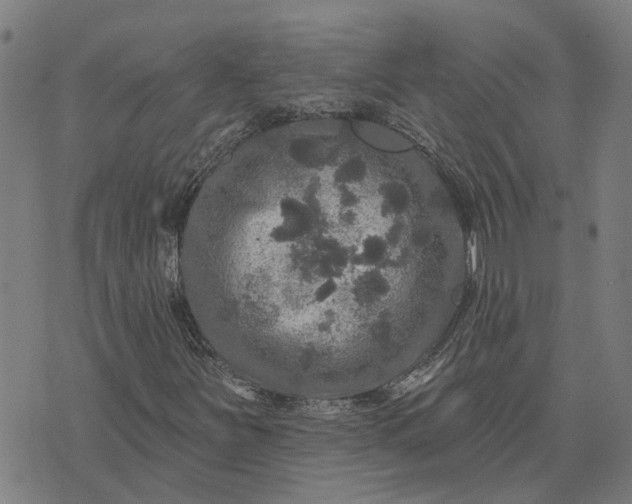 X0000076081251200610061607