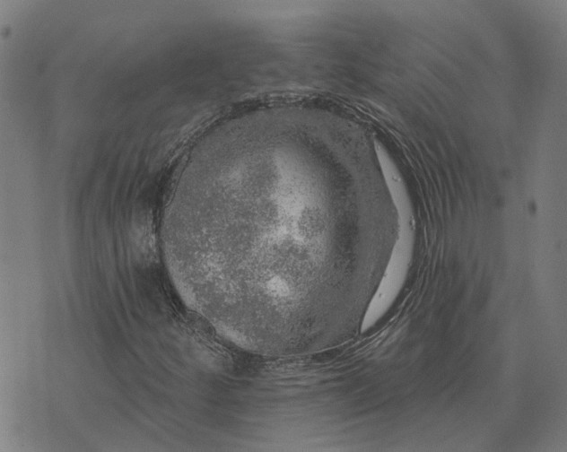 X0000076081252200610061607