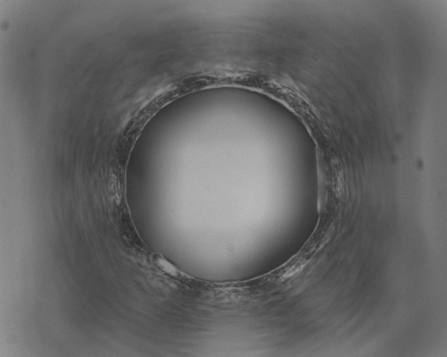 X0000076081253200610061607