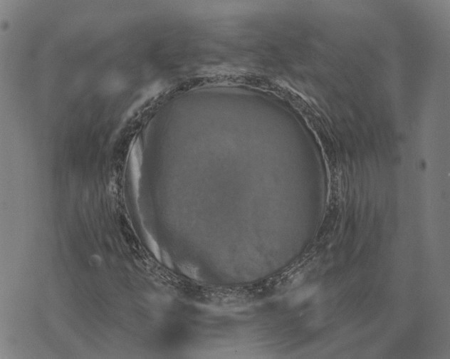 X0000076081254200610061607