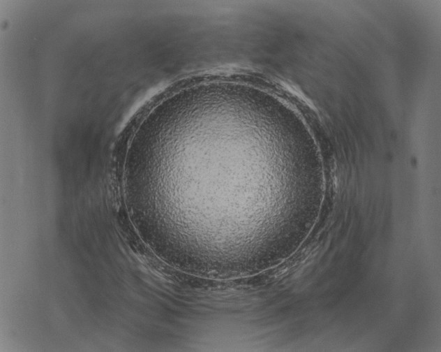 X0000076081256200610061607