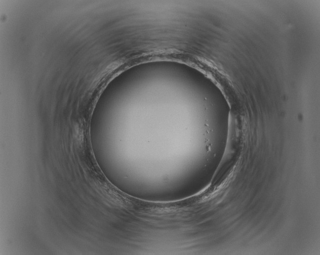 X0000076081257200610061607