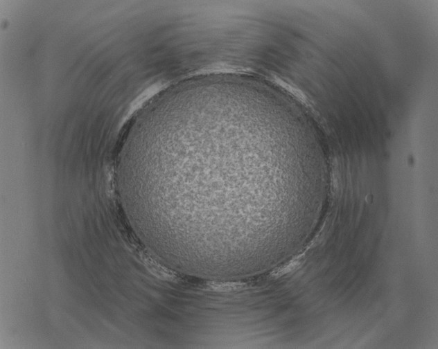 X0000076081258200610061607