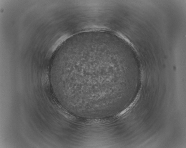 X0000076081259200610061607