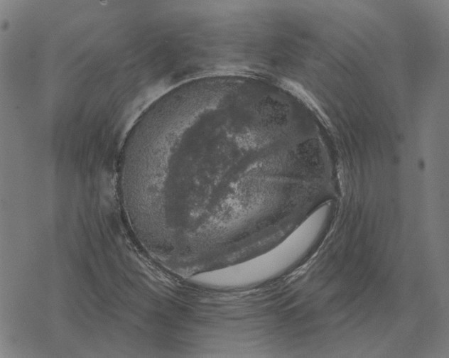 X0000076081260200610061607