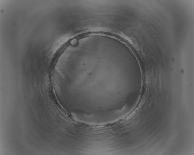 X0000076081263200610061607