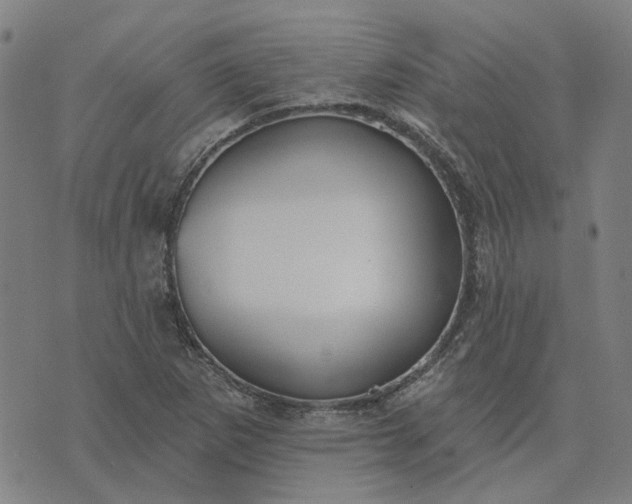 X0000076081265200610061607