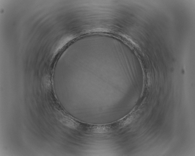 X0000076081266200610061607