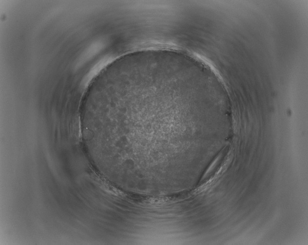 X0000076081267200610061607