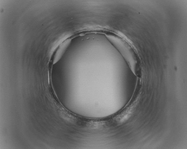 X0000076081269200610061607