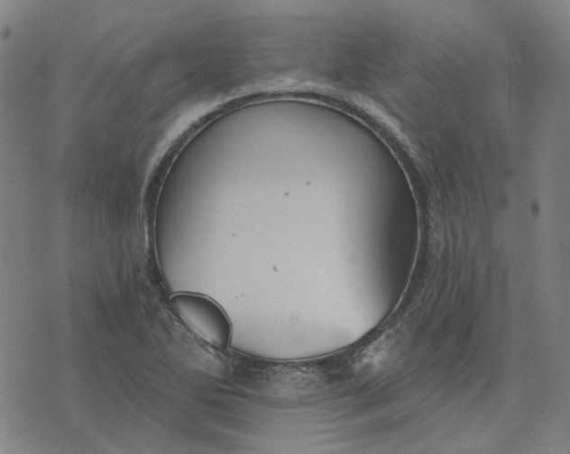 X0000076081270200610061607