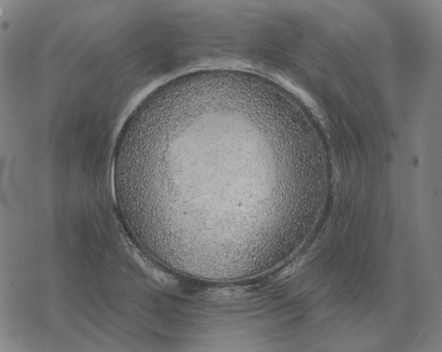 X0000076081272200610061607