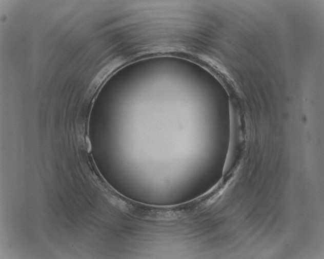 X0000076081273200610061607