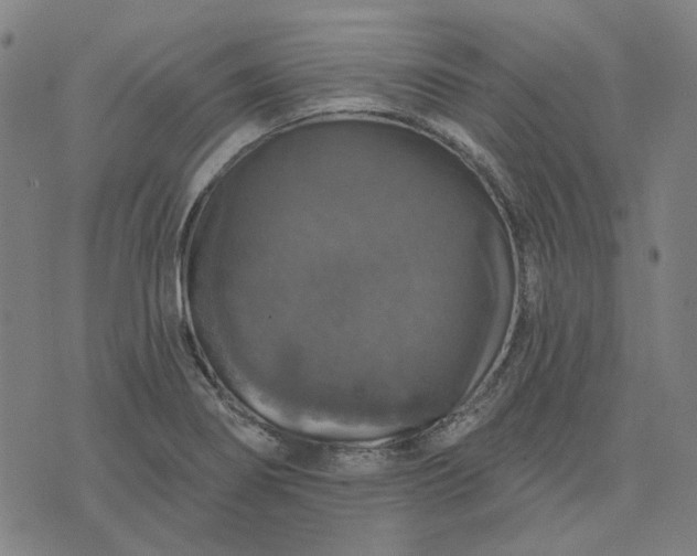 X0000076081274200610061607