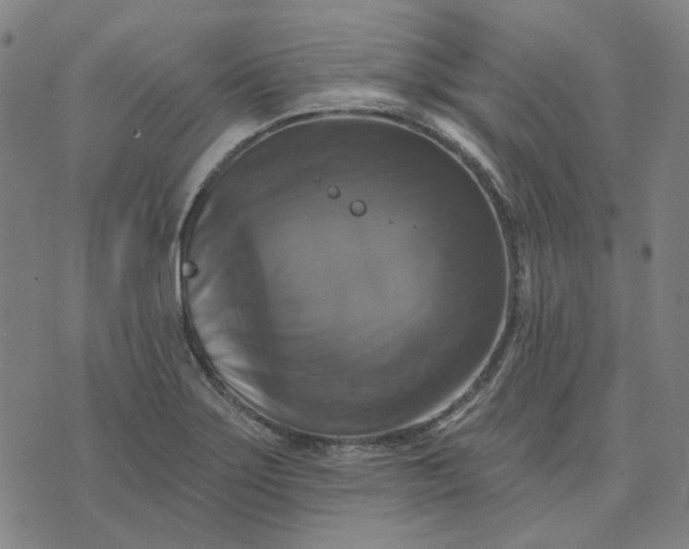 X0000076081275200610061607