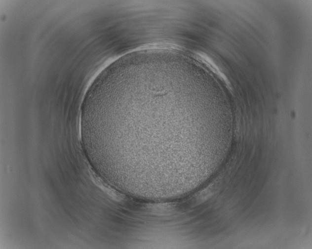 X0000076081276200610061607