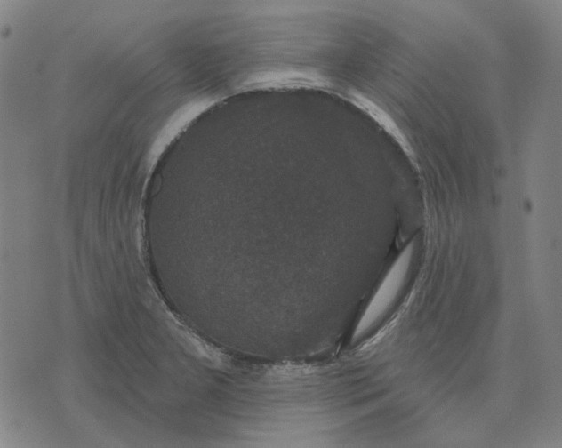 X0000076081277200610061607