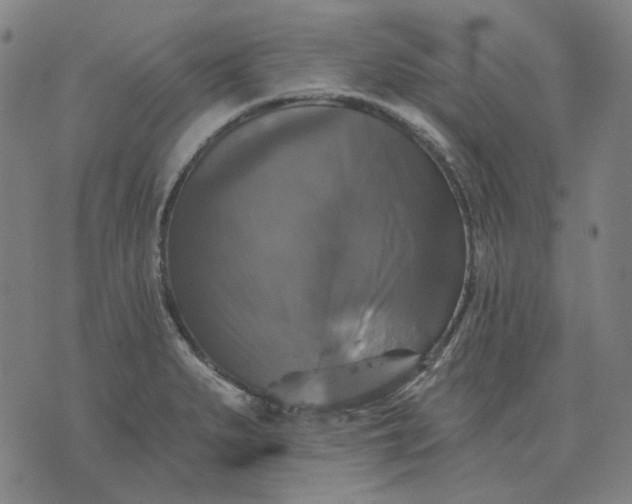 X0000076081279200610061607