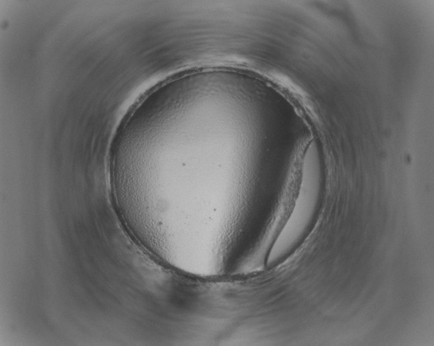 X0000076081280200610061607