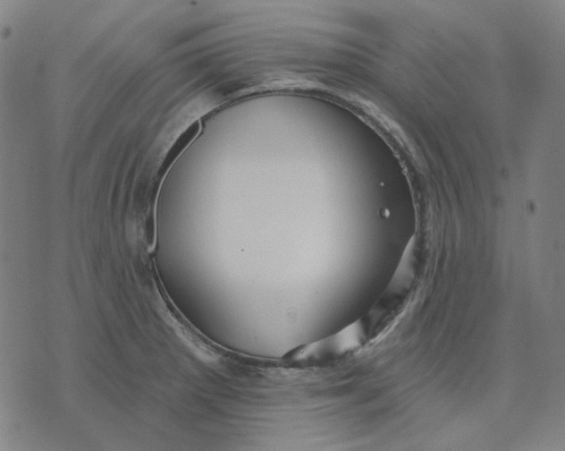 X0000076081281200610061607