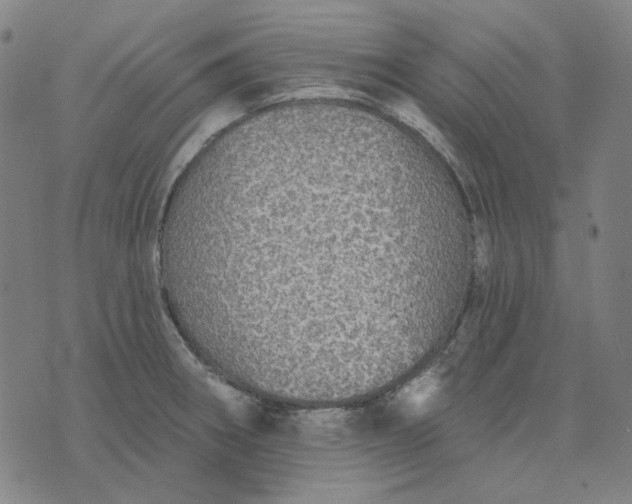 X0000076081282200610061607