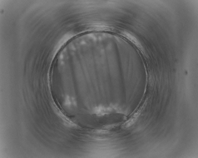 X0000076081283200610061607