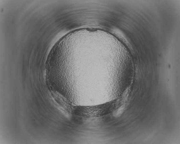 X0000076081284200610061607