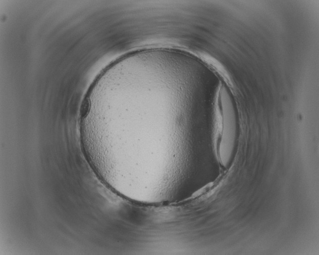 X0000076081288200610061606