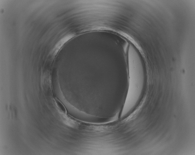 X0000076081289200610061606