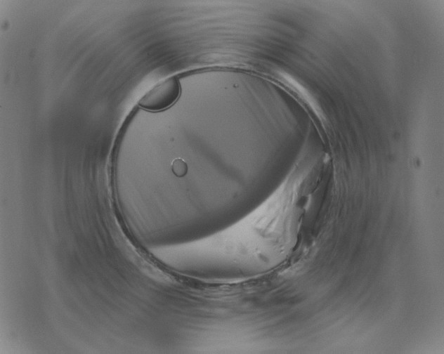 X0000076081291200610061606