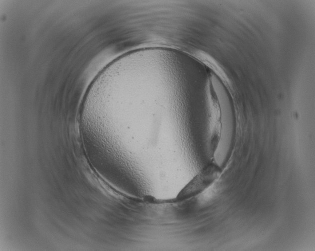 X0000076081292200610061606