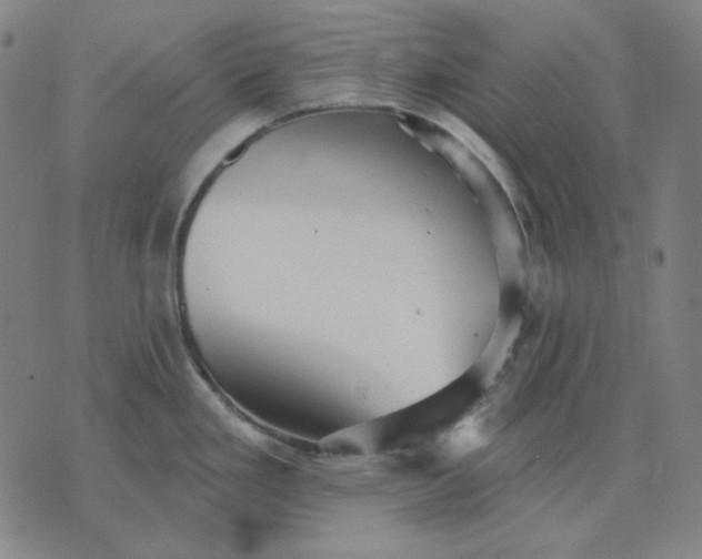 X0000076081293200610061606