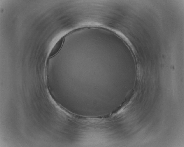 X0000076081295200610061606