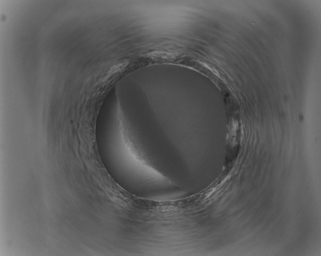 X0000076081297200610061606