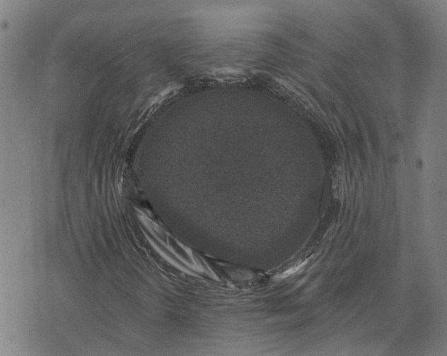 X0000076081298200610061606