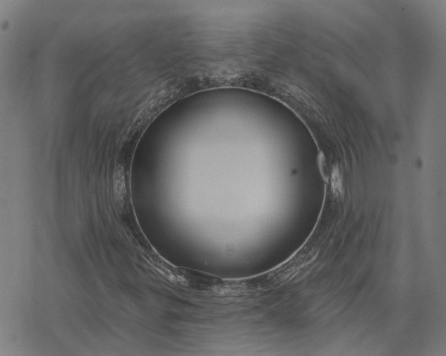 X0000076081299200610061606