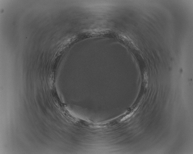 X0000076081300200610061606