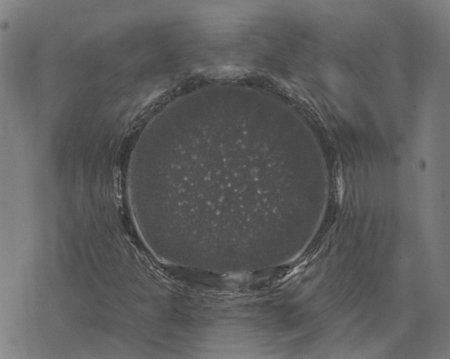 X0000076081301200610061606